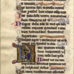manuscris 1